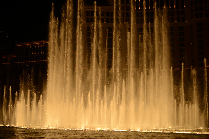 Thanksgiving at Las Vegas 2013 641_副本.jpg