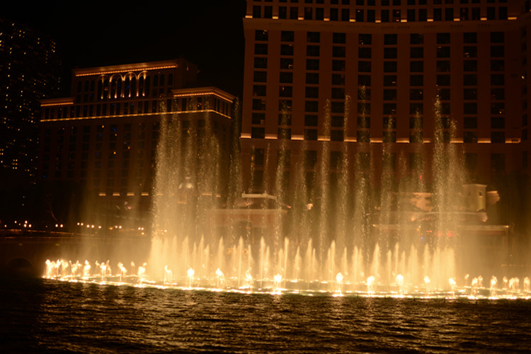 Thanksgiving at Las Vegas 2013 628_.jpg