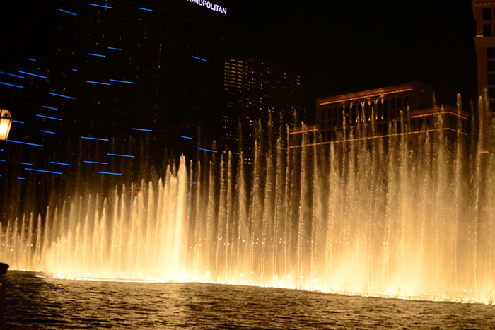 Thanksgiving at Las Vegas 2013 649_副本.jpg