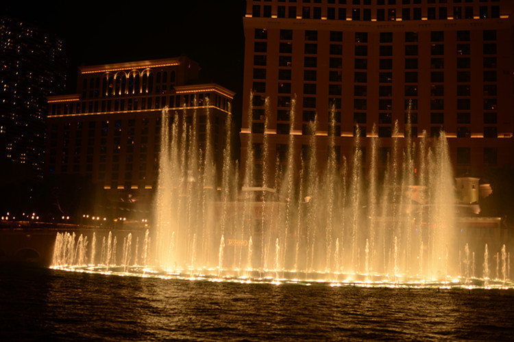 Thanksgiving at Las Vegas 2013 629_.jpg
