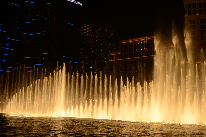 Thanksgiving at Las Vegas 2013 646_副本.jpg