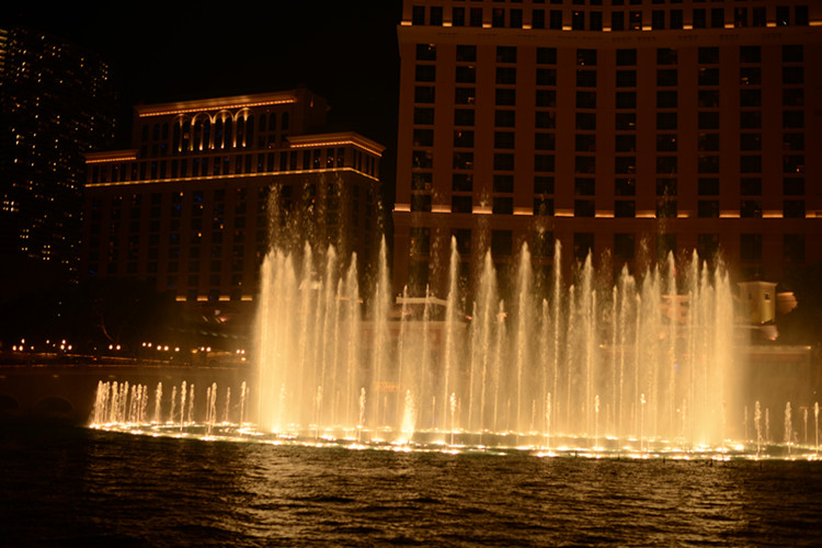 Thanksgiving at Las Vegas 2013 630_.jpg