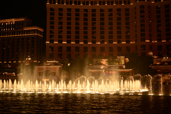 Thanksgiving at Las Vegas 2013 638_副本.jpg