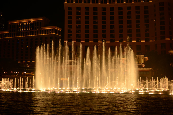 Thanksgiving at Las Vegas 2013 637_副本.jpg