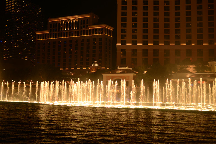Thanksgiving at Las Vegas 2013 621_副本.jpg