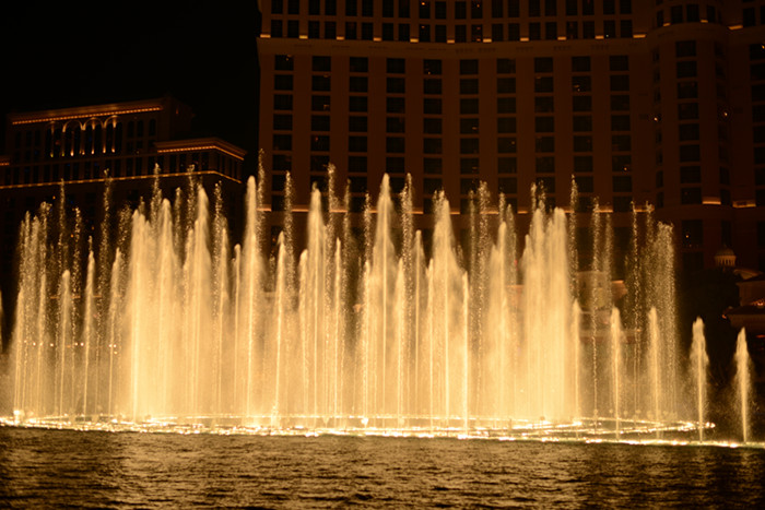 Thanksgiving at Las Vegas 2013 639_副本.jpg