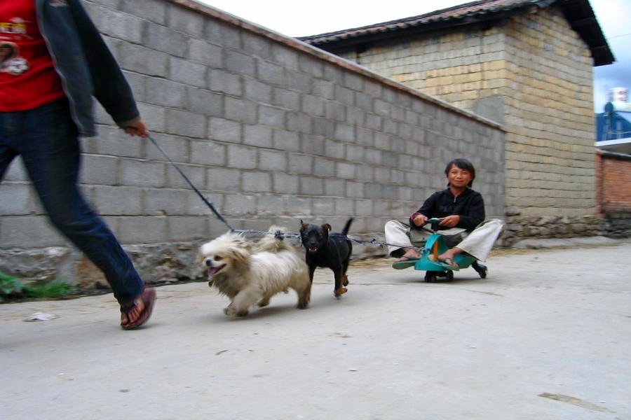 201111150587178.jpg