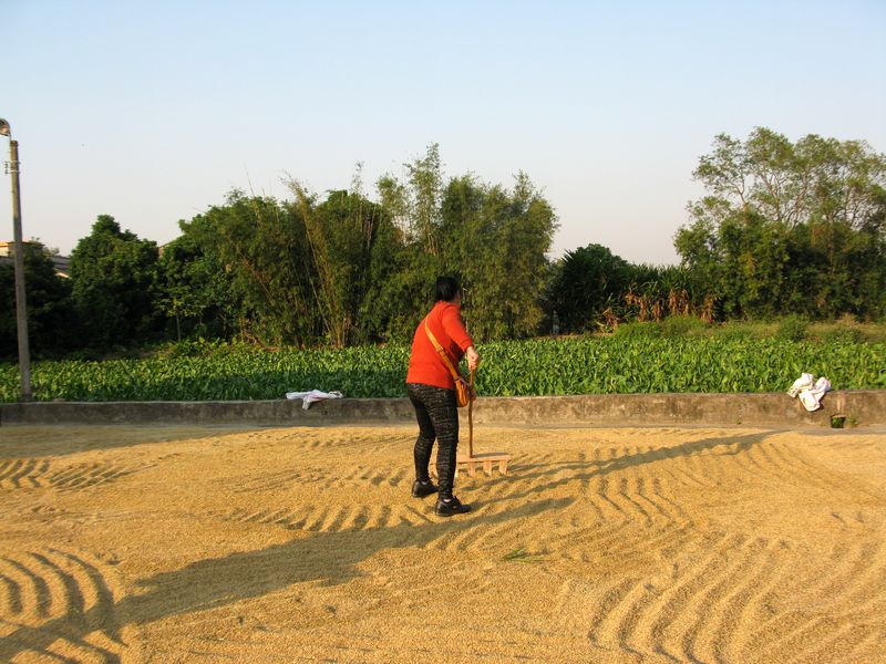 IMG_6814.jpg