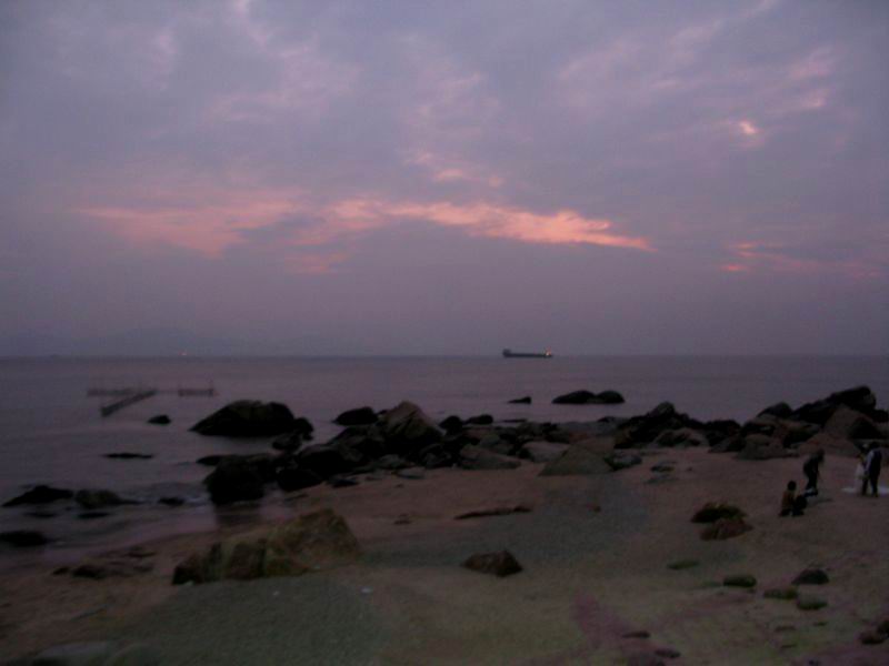 IMG_6560.jpg