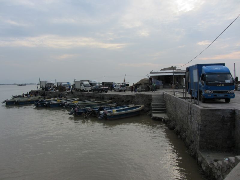 IMG_8207.jpg