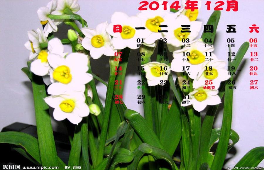 212_48796_d3dcd14e7e893ce.jpg