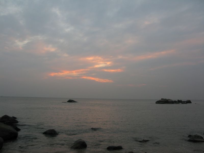IMG_6509.jpg