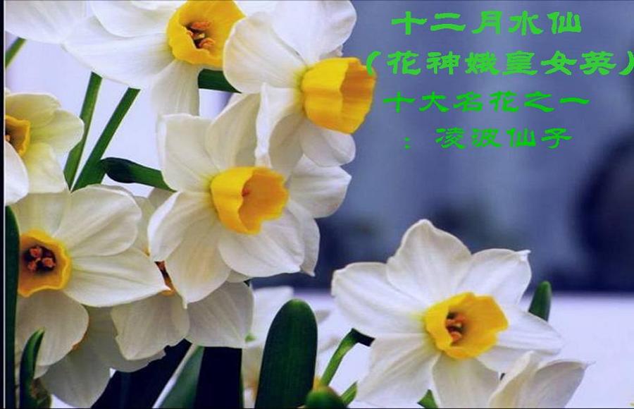 37189152_24.jpg