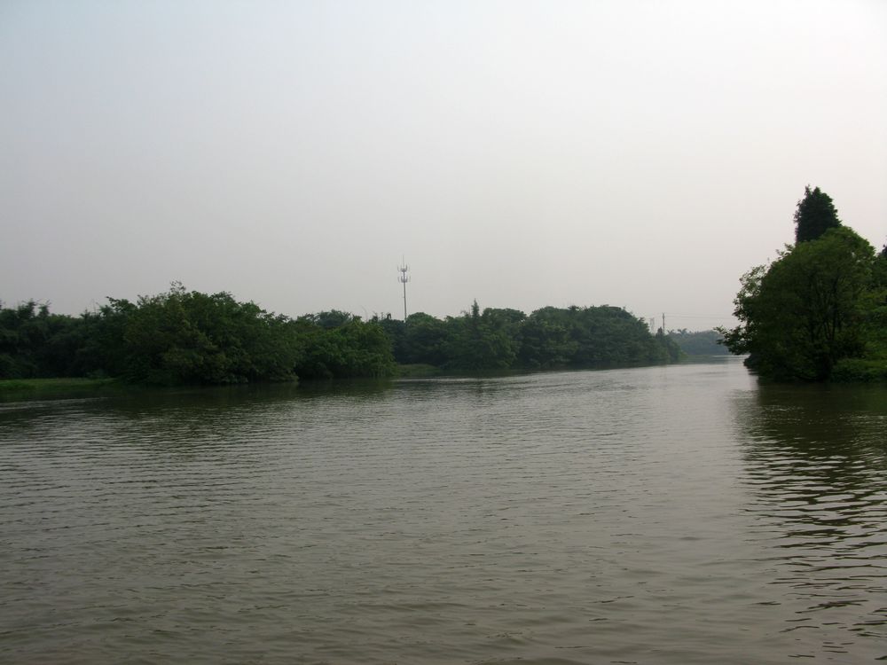 IMG_4320.jpg