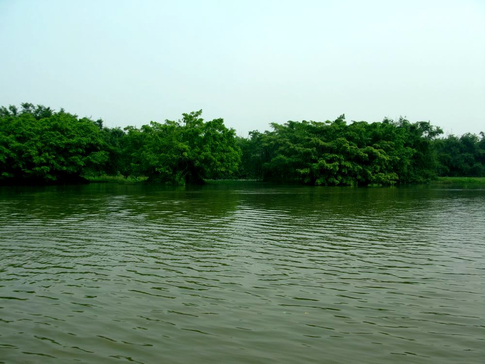 IMG_4319.jpg
