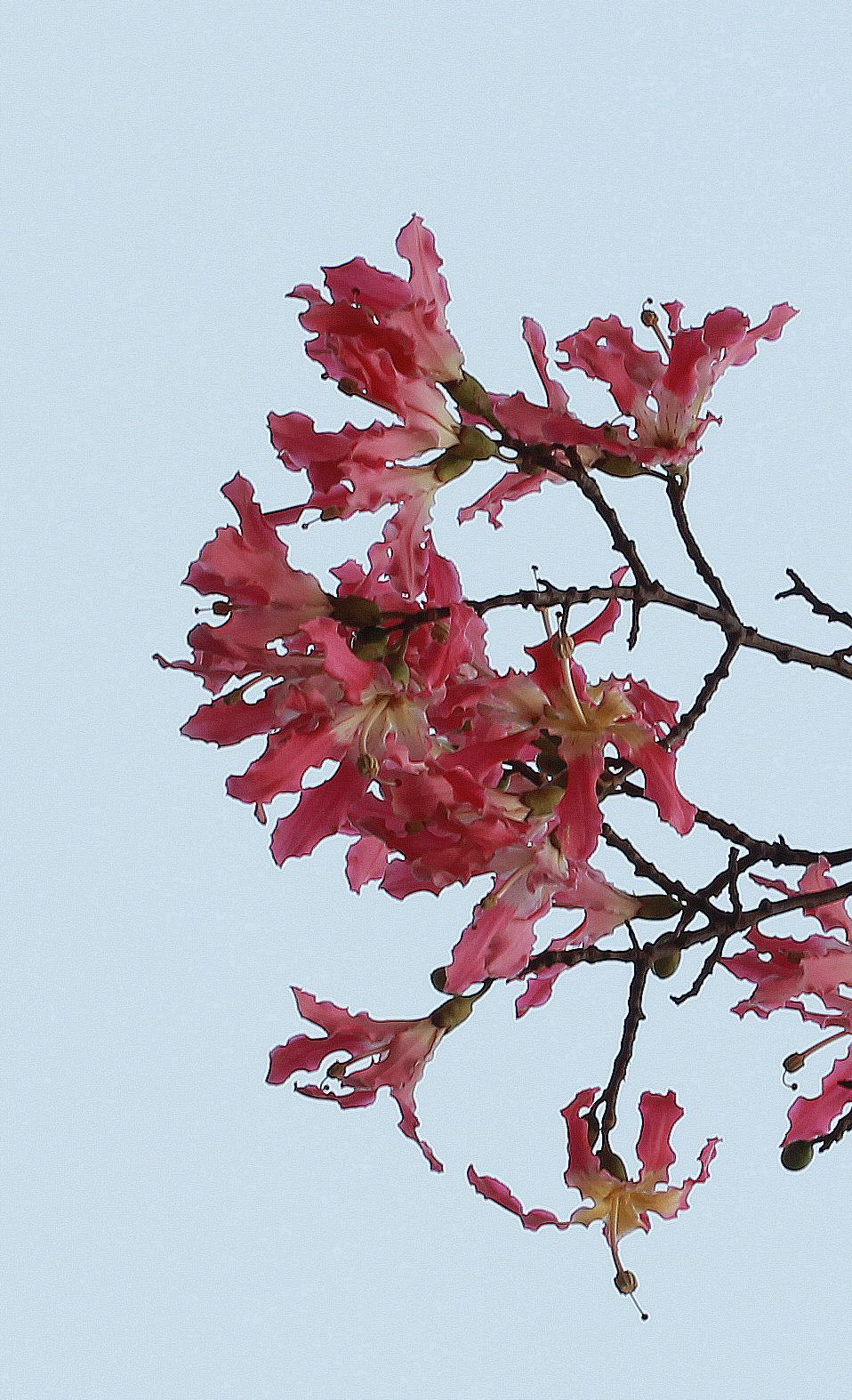 IMG_1899_.jpg