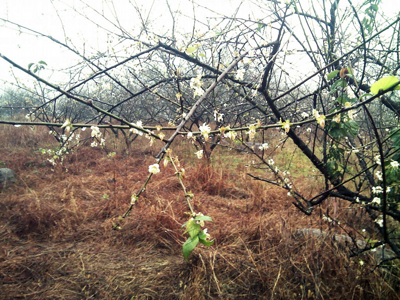 IMG_20131215_143114.jpg