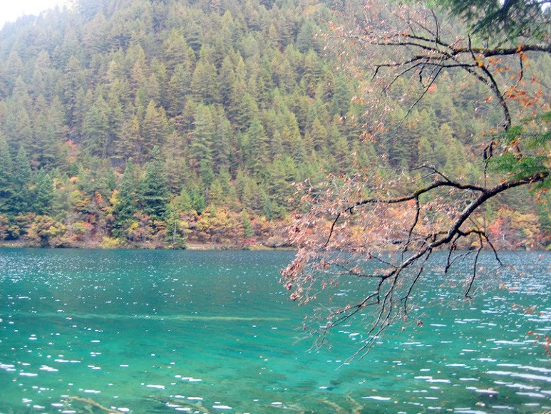 IMG_4006.jpg