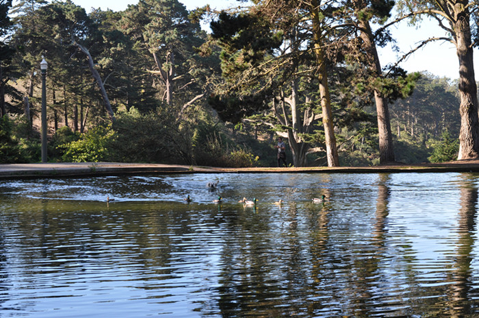 Golden gate park 277_.jpg