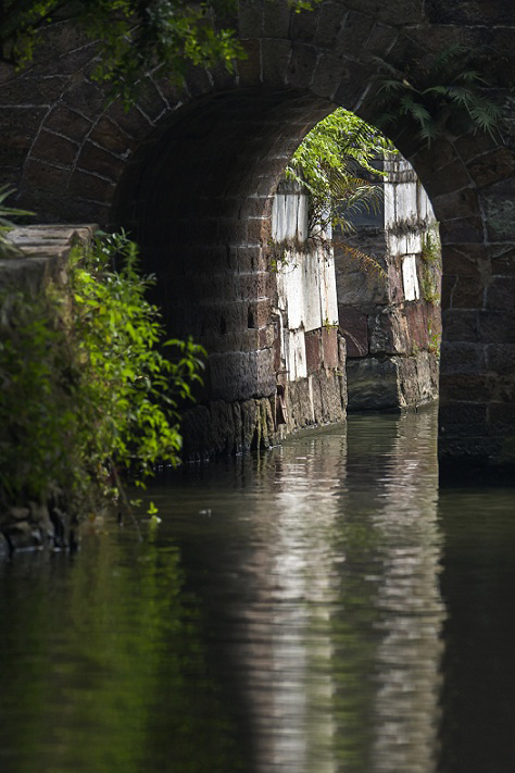 DSC_6910.JPG