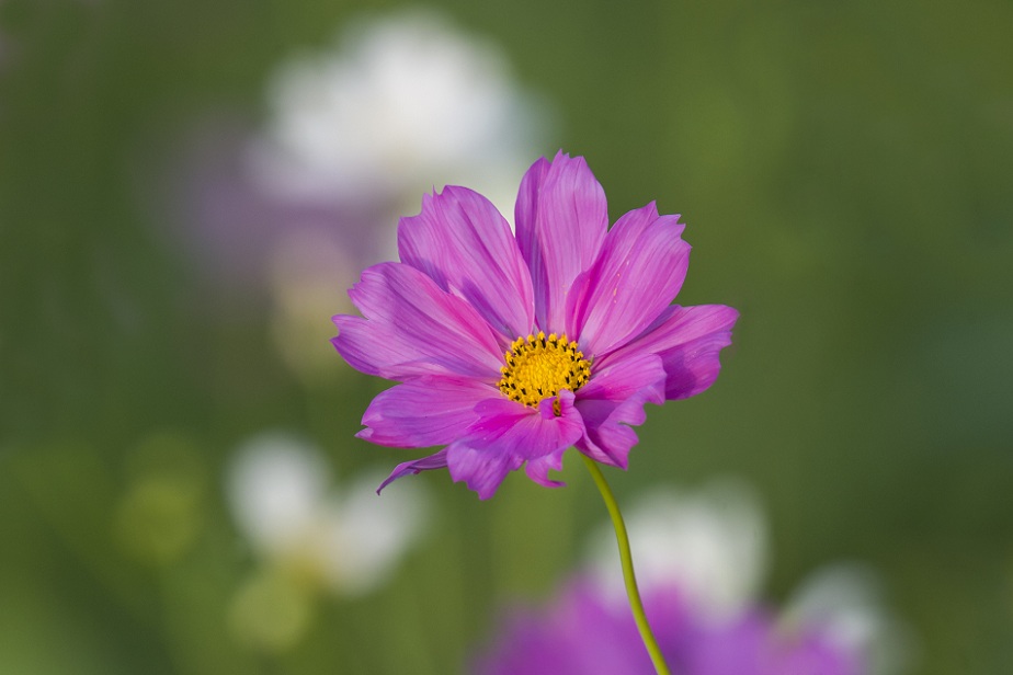 DSC_5753.JPG