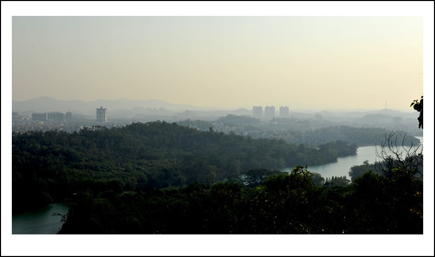 DSC_6009_conew1.jpg