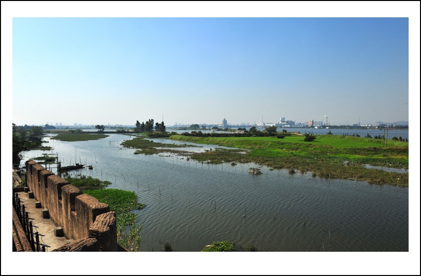 DSC_5878_conew1.jpg