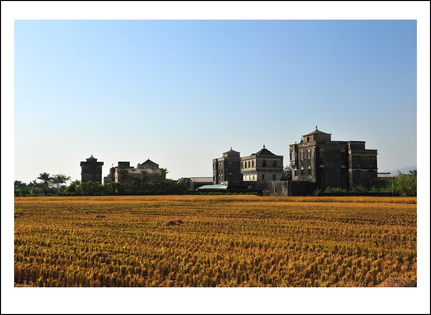 DSC_5687_conew1.jpg
