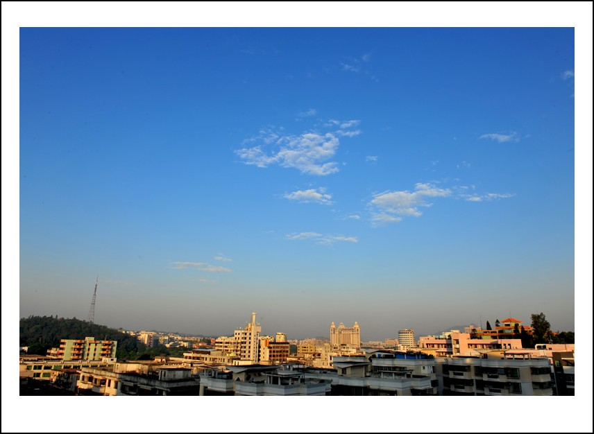 DSC_5389_conew1.jpg