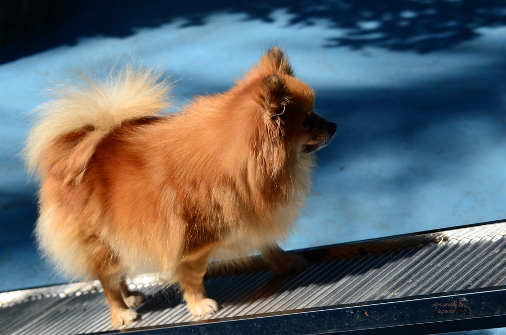 DSC_0028.jpg