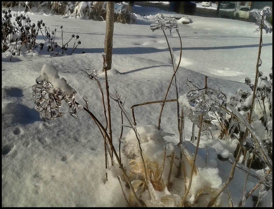 20131227A_.jpg