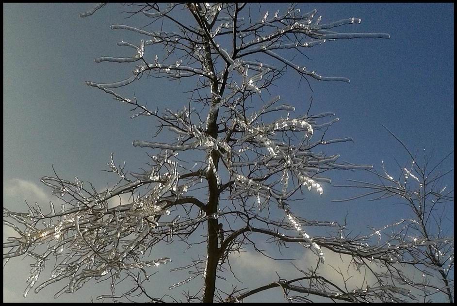 20131227B_.jpg