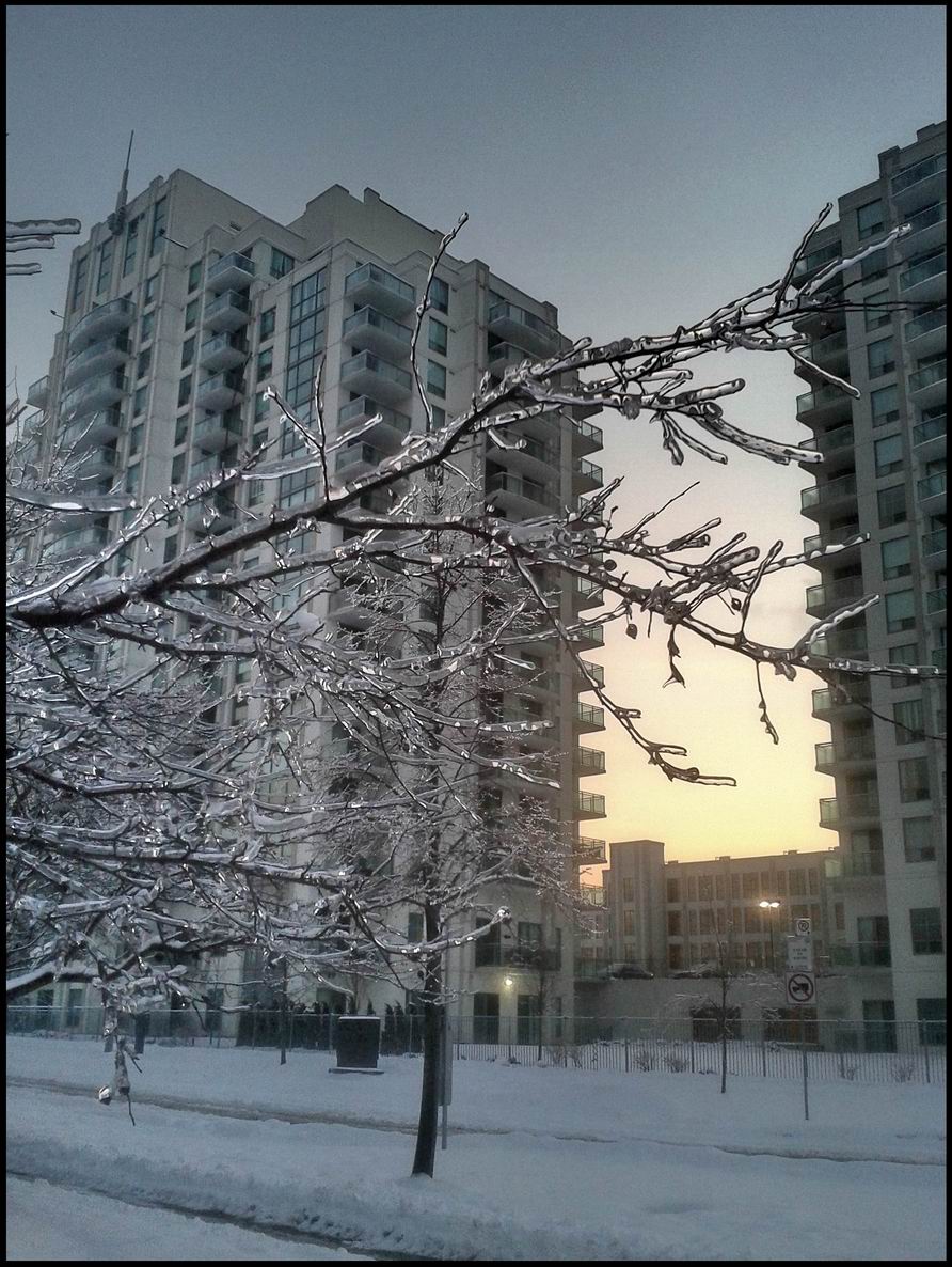 20131226_164647_.jpg