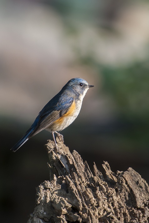 DSC_8802.jpg