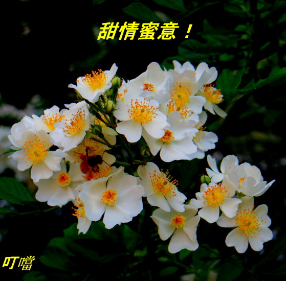 IMG_0001_6188.jpg