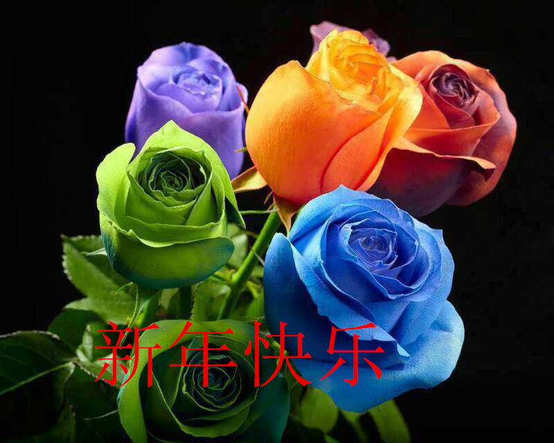 QQͼƬ20131230110651_23.jpg
