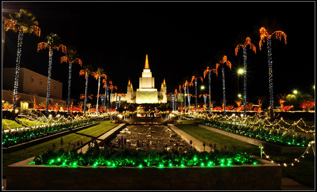 DSC_5611-0.jpg