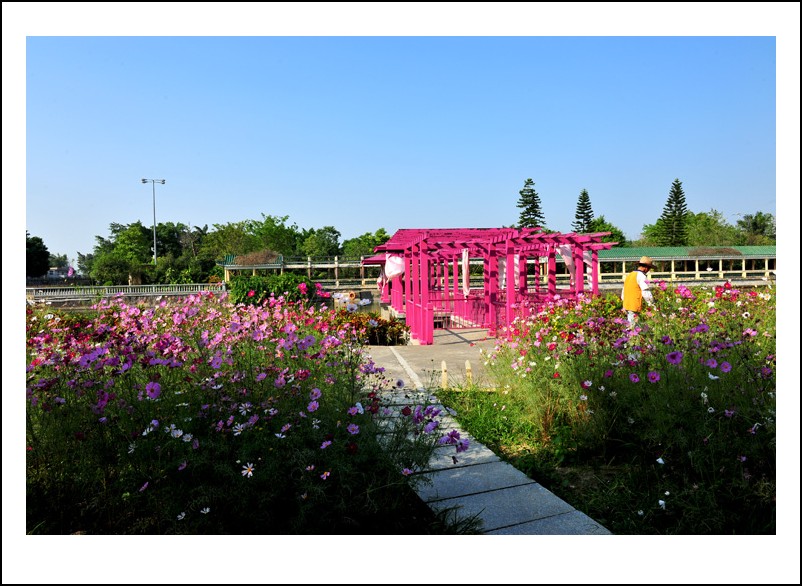 DSC_1518_conew1.jpg