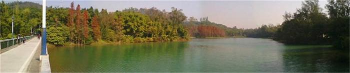 IMG_20131231_104021_ͼ.jpg