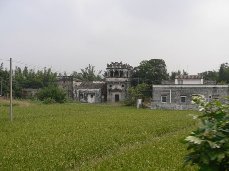P1190339_.jpg