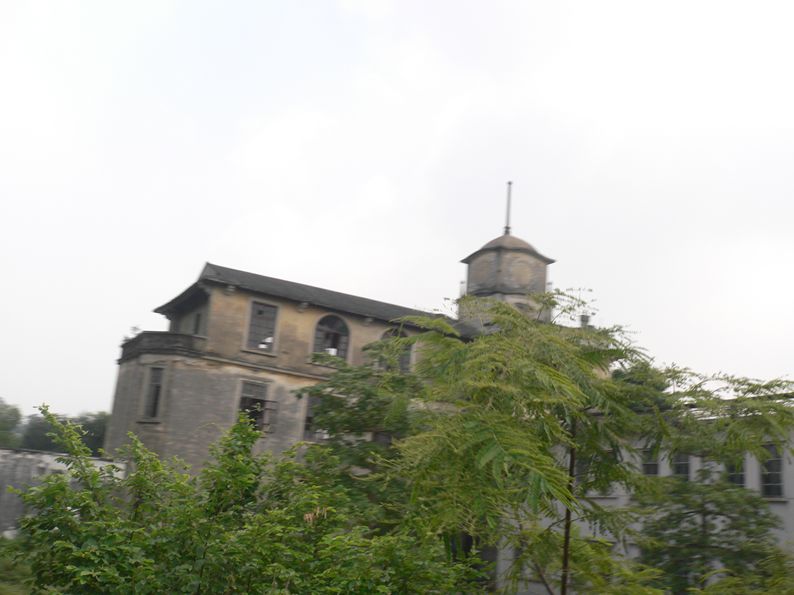 P1190340_.jpg