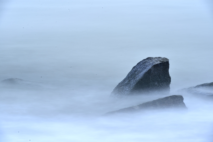 _DSC7557_01.JPG