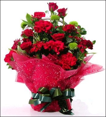 20080329050.jpg