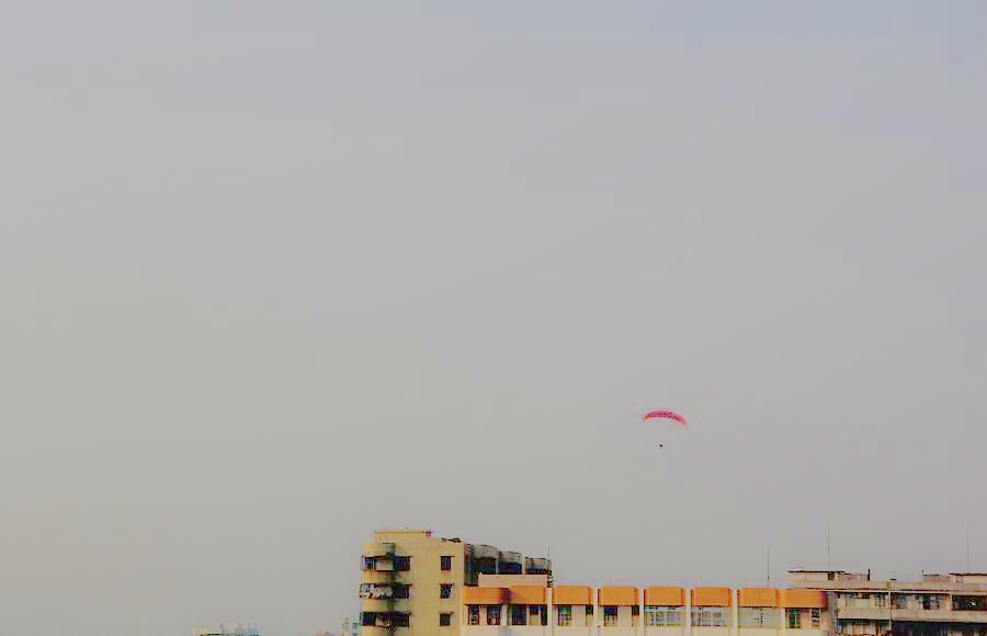 IMG_3800.JPG