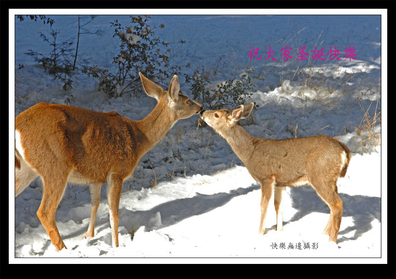 16 copy_����.jpg