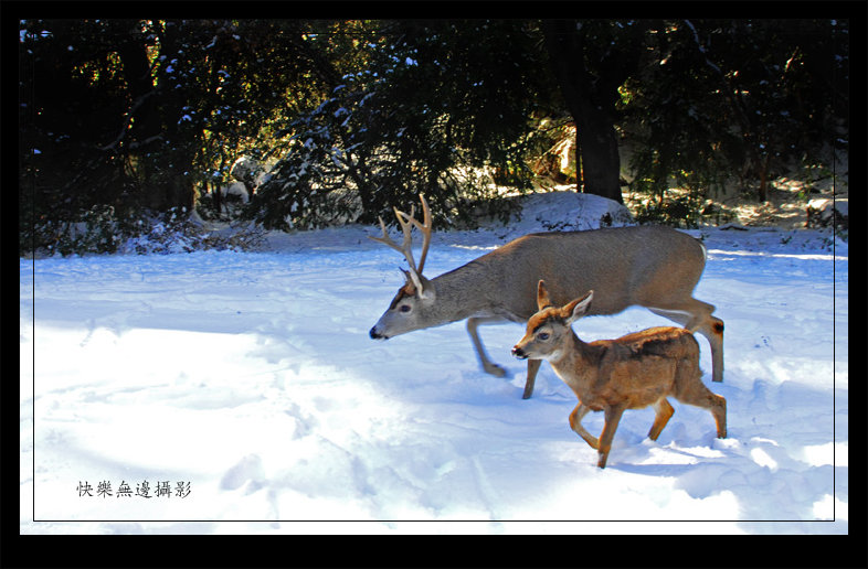 6a copy_����.jpg