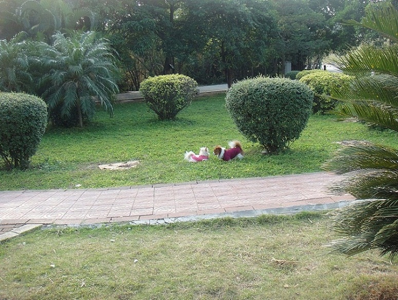 DSC09909.JPG
