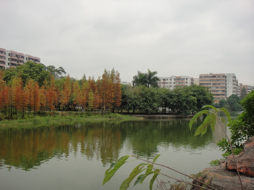 DSC09905.JPG