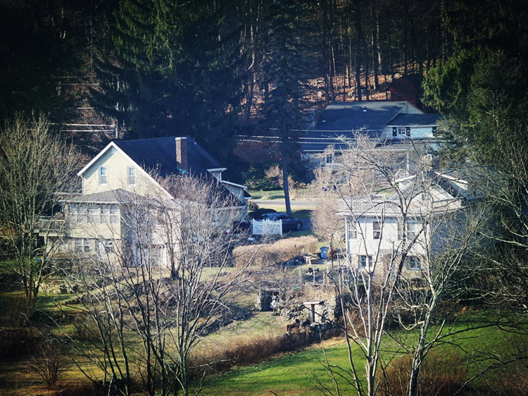 DSCN3145_����.jpg