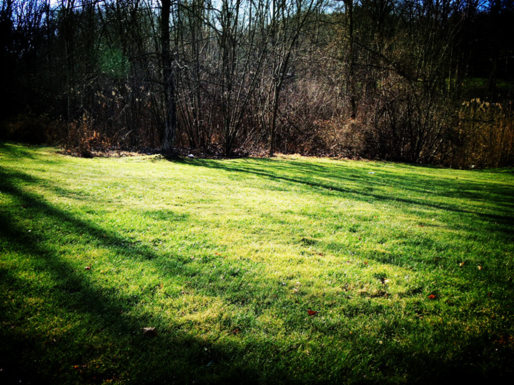 DSCN3129_����.jpg